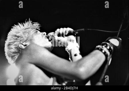 Billy Idol singing and performing on stage in California on his world tour without shirt:  William Michael Albert Broad (born 30 November 1955), known professionally as Billy Idol, is an English musician, singer, songwriter, and actor who holds dual British and American citizenship.[1] He first achieved fame in the 1970s emerging from the London punk rock scene as a member of Generation X. Subsequently, he embarked on a solo career which led to international recognition and made Idol a lead artist during the MTV-driven 'Second British Invasion' in the United States. The name 'Billy Idol' was i Stock Photo