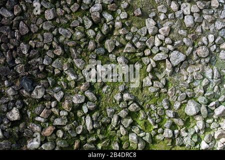 background of old  rough mossy stone wall Stock Photo
