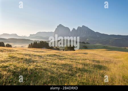 Alpe di Siusi, Castelrotto, South Tyrol, Province of Bolzano, Italy, Europe. Spring on the Alpe di Siusi with views of the Langkofel massif Stock Photo