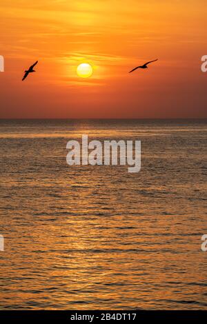 Gallipoli, Lecce province, Salento, Apulia, Italy, Europe. Sunset in Gallipoli Stock Photo