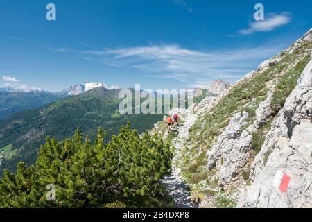 Valparole pass, Dolomites, Belluno province, Veneto, Italy, Europe. Hiker on the southwest side of the witch stone Stock Photo