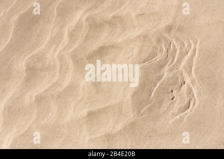 Europe, Germany, Lower Saxony, Otterndorf, sand structures at low tide in the Wadden Sea National Park, Stock Photo