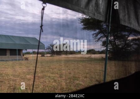 A foot, tent and jeep safari through northern Tanzania at the end of the rainy season in May. National Parks Serengeti, Ngorongoro Crater, Tarangire, Arusha and Lake Manyara. Wake up in the tent: dawn over the Serengeti Stock Photo