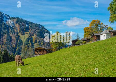 Gerstruben, a former mountain farming village in the Dietersbachtal near Oberstdorf, Allgäu Alps, Allgäu, Bavaria, Germany, Europe Stock Photo