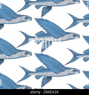 Exocoetidae or Flying fish hand drawing Stock Vector
