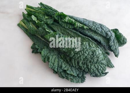 Lacinato Kale Leaves on White Marble Background: A group of fresh dinosaur kale leaves on a white marble table