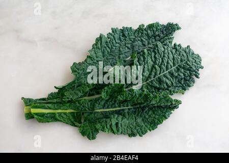 Lacinato Kale Leaves on White Marble Background: A group of fresh dinosaur kale leaves on a white marble table Stock Photo