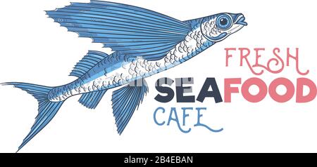 Exocoetidae or Flying fish hand drawing Stock Vector