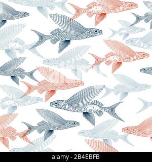 Exocoetidae or Flying fish hand drawing Stock Vector