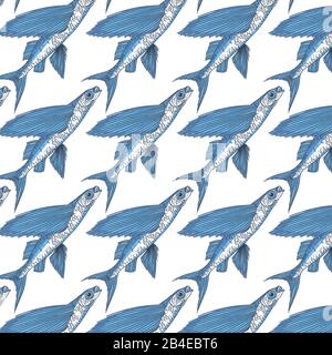Exocoetidae or Flying fish hand drawing Stock Vector