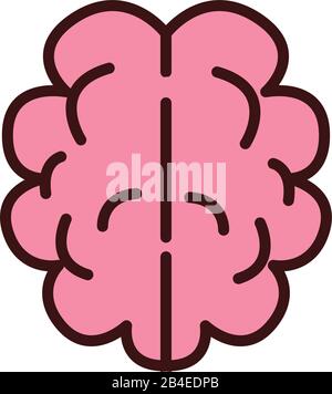 brain human organ line and fill style Stock Vector Image & Art - Alamy