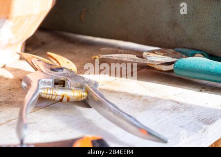 Secateurs, garden tools Stock Photo