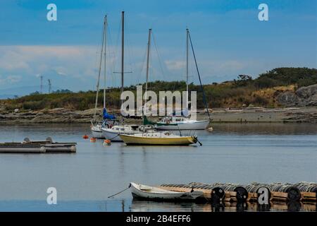 Small Harbor On Vancouver Island, Canada Stock Photo