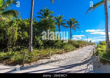 Walk to the beach, Lummus Park, South Beach, Miami Beach, Miami-Dade County, Florida, USA, North America Stock Photo