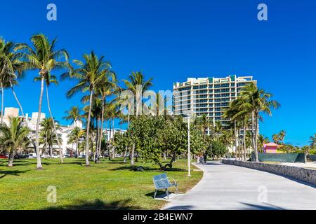 Lummus Park, Miami Beach, Miami-Dade County, Florida, USA, North America