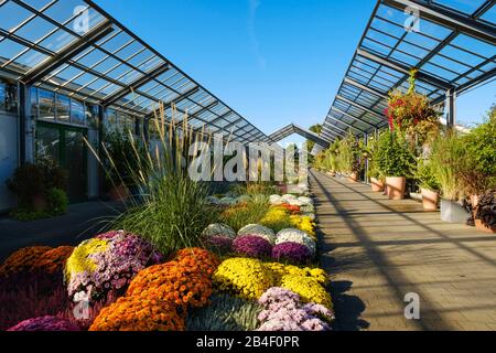 Dehner Blumenpark, Rain, Donau-Ries district, Swabia, Bavaria, Germany Stock Photo
