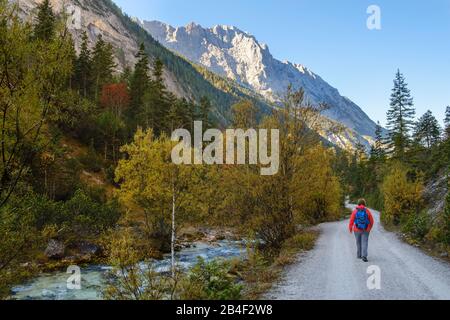 Woman wanders antlang the Isar, high Gleirsch, Hinterautal, with Scharnitz, Karwendel, Tyrol, Austria Stock Photo