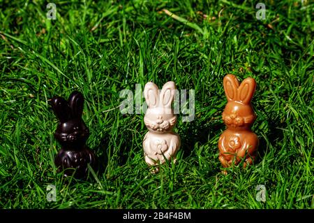 Three chocolate Easter bunny treats, different colours, on grass outdoors. Stock Photo