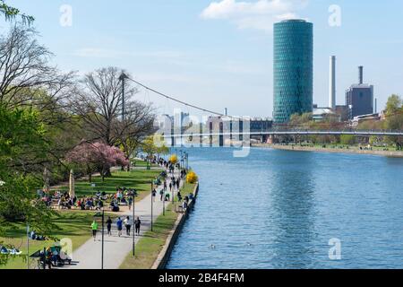 Germany, Hesse, Frankfurt, the Mainufer with the Main Tower in the background. Stock Photo