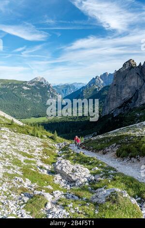 Misurina, Auronzo di Cadore, Belluno province, Veneto, Italy. Mountaineer on the ascent through the Ciadin de Rinbianco in the cadini group Stock Photo