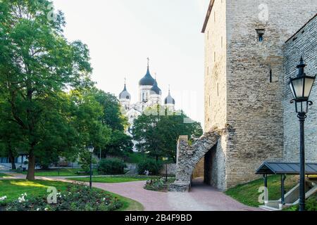 Estland, Tallinn, Domberg, dänischer Königsgarten, Alexander-Newski-Kathedrale Stock Photo