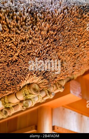 Tea house thatched roof detail, Hamarikyu Gardens, Chuo City, Tokyo, Honshu, Japan Stock Photo