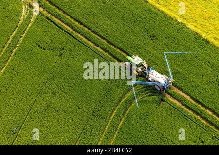Aerial view of a tractor spraying insecticides on a field at Westönner Bundesstrasse, Mawicker Bundesstrasse and Autobahn A44 with fields and meadows in Werl in Soester Börde in North Rhine-Westphalia in Germany, Werl, Soester Börde, North Rhine-Westphalia, Germany Höhberg, fields, environmental protection, insecticide, spraying fields, furrows, cornfield, green tractor Stock Photo