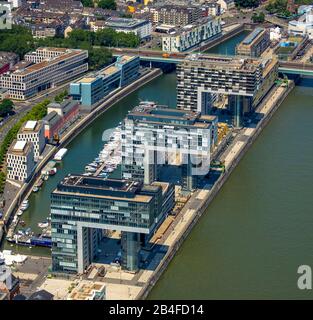 Aerial view of the Kranhäusern, Kranhaus on the banks of the Rhine near Severinsbrücke Bundesstrasse B55 in Cologne in the Rhineland in the federal state of North Rhine-Westphalia, Germany, Rhineland, Europe, office buildings in prime location, Rhine, office tower, condominiums, Cologne harbor Stock Photo
