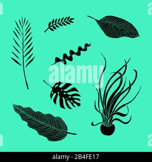 Set of of leaves: epiphyllum, monstera, palm, zamioculca, medusa, banana and philodendron. Monochrome doodle sketch, hand drawing. Black silhouette on mint background. Vector illustration Stock Vector