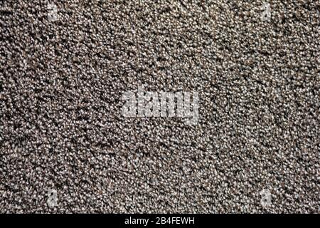 Modern gray carpet texture. Background. Close up. Stock Photo
