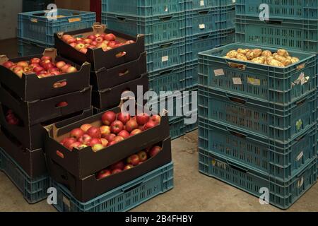 Stacks of plastic box containers with apples, potatoes and other crops in fruit and vegetables warehouse. Stock Photo