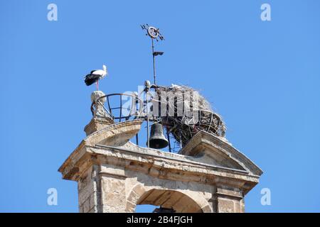 Stork's nest on the bell tower of the church San Martin, Rua Mayor, Salamanca, Castile and Leon, Spain, Europe Stock Photo