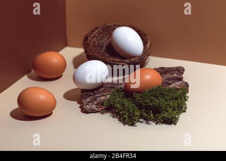 Five multi-colored eggs and natural materials moss, nest and wood. Easter concept. Stock Photo