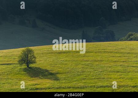 Europe, Poland, Podkarpackie Voivodeship, Bieszczady National Park Stock Photo