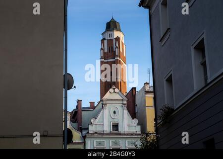 Europe, Poland, Nysa County, Opole Voivodeship, Paczkow / Patschkau, town hall and city center