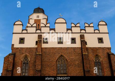 Europe, Poland, Nysa County, Opole Voivodeship, Paczkow / Patschkau, town hall and city center