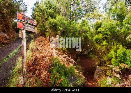 Europe, Portugal, Madeira, Paúl da Serra plateau, Rabacal, Levada, signage, Stock Photo