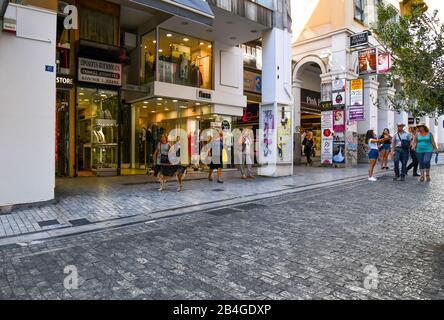 A stray dog stands on a sidewalk on Ermou Street, a busy shopping center in Athens Greece as tourists and locals shop and sightsee. Stock Photo