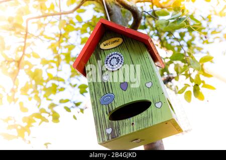 Birdhouse, colorful, summer, garden, Wolfenbüttel, Lower Saxony, Germany, Europa Stock Photo