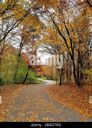 Autumn in the city park Stock Photo