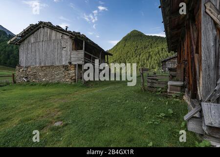 Fane Alm, Almdorf, South Tyrol, Italy, Europe