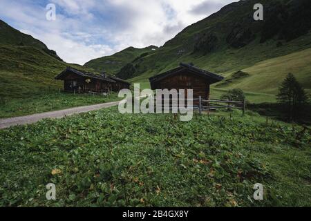 Fane Alm, Almdorf, South Tyrol, Italy, Europe