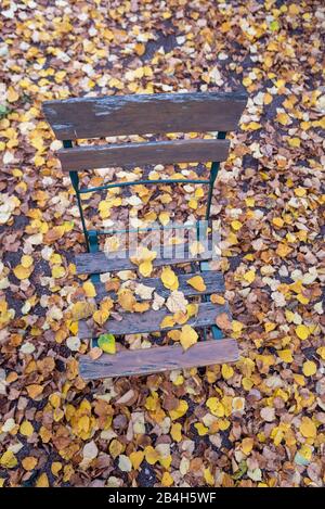 On the chair of a beer garden lie yellow leaves that the autumn wind has blown from the trees, Stock Photo