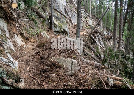 Avalanche departure in the Ahrntal in South Tyrol Stock Photo
