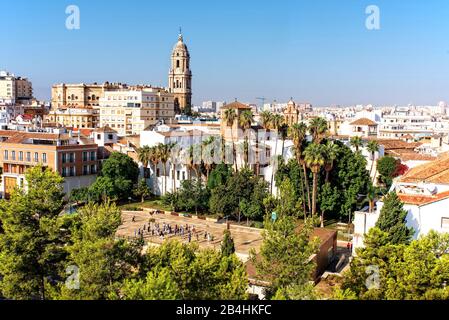 Cathedral in Malaga Andalucia Stock Photo