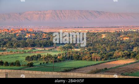 Western shore with fields and date palms at the Suez Canal (Suez Canal), Egypt Stock Photo
