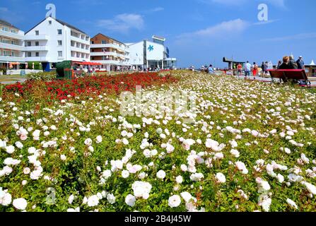 Promenade at the south beach with hotels and roses discounts, Heligoland, Heligoland bay, German bay, North Sea island, North Sea, Schleswig-Holstein, Germany Stock Photo