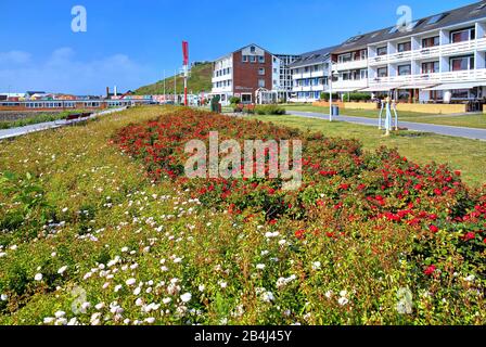 Promenade at the south beach with hotels and roses discounts, Heligoland, Heligoland bay, German bay, North Sea island, North Sea, Schleswig-Holstein, Germany Stock Photo