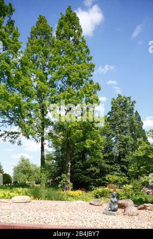 Kurpark, Bad Zwischenahn, Lower Saxony, Germany, Europe Stock Photo