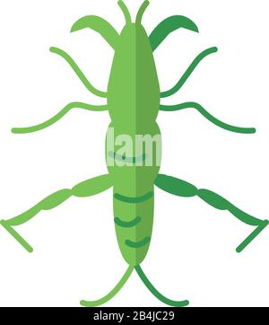 stick insect icon over white background, flat style, vector ...